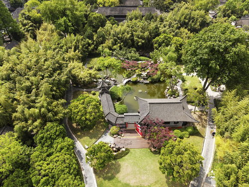 活化古典園林，賦能‘最江南’——探訪江蘇省文化和旅游重點(diǎn)實(shí)驗(yàn)室園林