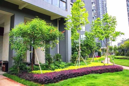 匠心筑境 詩(shī)意棲居——中國(guó)風(fēng)景園林學(xué)會(huì)“優(yōu)秀園林工程”精品項(xiàng)目回顧