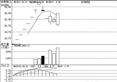 機構關注個股之廣州軟件開發 創新驅動與區域優勢下的投資機遇