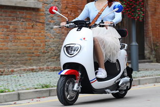 網(wǎng)購(gòu)電動(dòng)車不能上牌怎么辦？全面解析與應(yīng)對(duì)策略