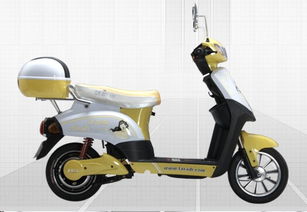 電動(dòng)車未來(lái)出行 綠色與智能的融合