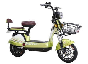 小鳥電動(dòng)車 用心質(zhì)造，只為放心電動(dòng)車