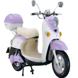 宏途智能電動(dòng)車加盟評(píng)測(cè) 產(chǎn)品實(shí)力與加盟前景深度解析
